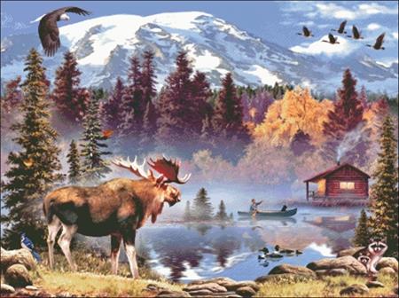Moose