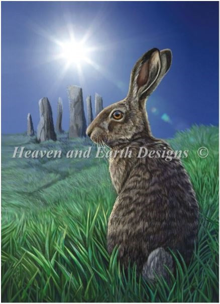 Moon Hare LP