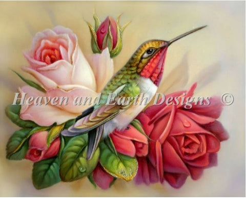 Hummingbird In Roses