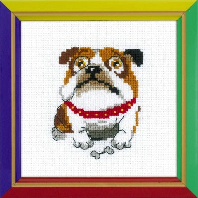 English Bulldog
