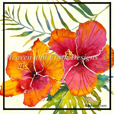 Hibiscus JL RS