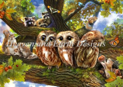 Out On A Limb - Aimee Stewart