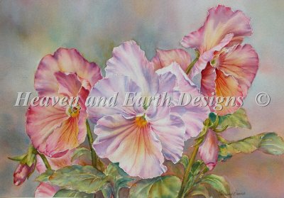 Gentle Sunshine Pansies