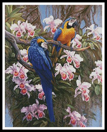 Jungle Majesty  (Beth Hoselton)