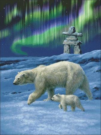 Northern Lights