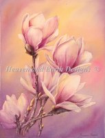 Magnolias