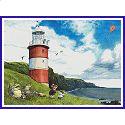 Picnic by the Lighthouse (Chris Dunn)