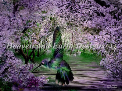 Mini Spring Hummer