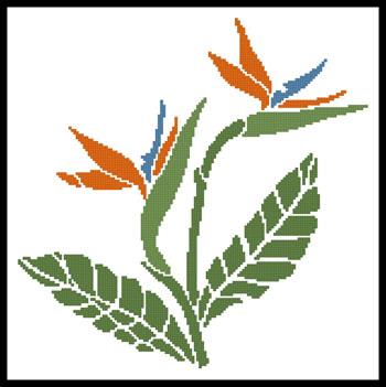 Little Bird of Paradise 2