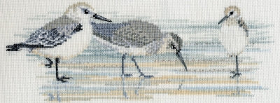 Waders