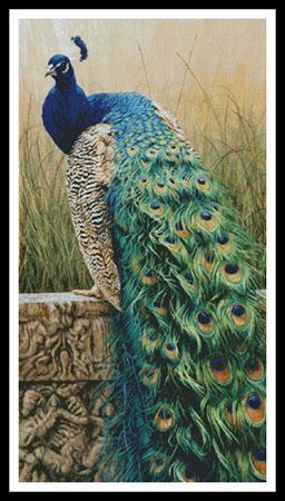 Royal Splendour (Large)