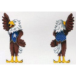 Two Sided Bald Eagle