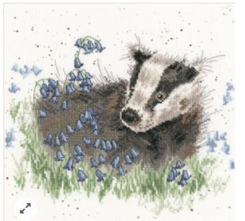 Bluebell Wood - Hannah Dale