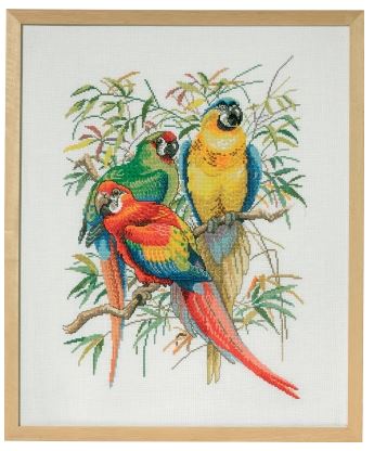 Parrot Trio