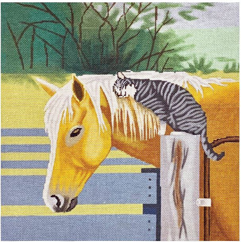 Horse and Barn Cat