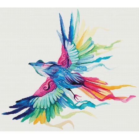 Rainbow Bird