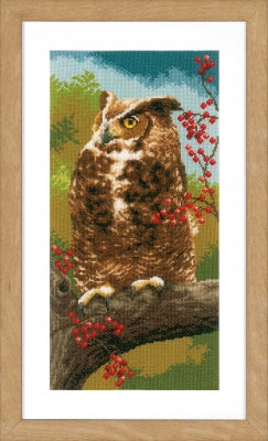 Owl In Autumn