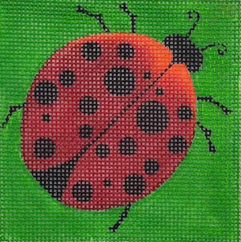 Small Ladybug Square