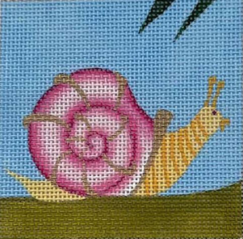 Small Pink Snail Square