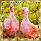 Geese