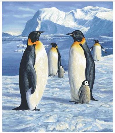 Penguins