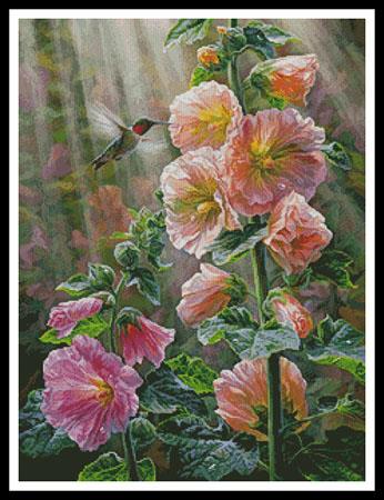 Ruby Throated Hummingbird & Hollyhocks  (Beth Hoselton)