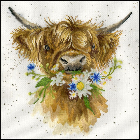 Daisy Coo