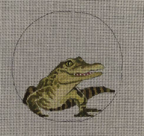 Baby Crocodile