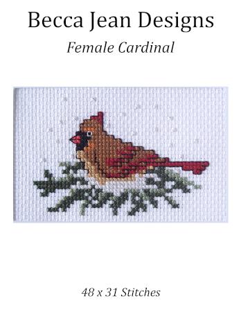 Female Cardinal