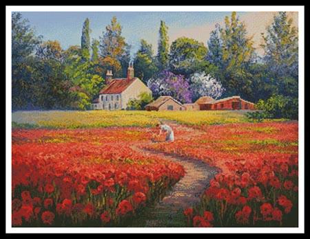 Not Forgotten  (John Bradley)