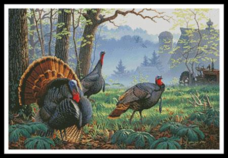 Foggy Morning Trio  (Larry Zach)