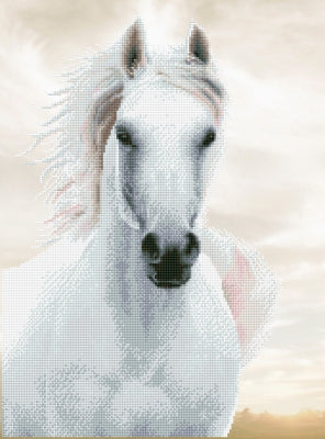 Imperial Stallion