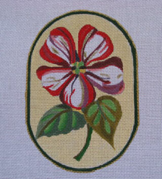 Red Flowers - Petunia