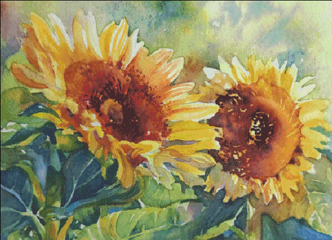 Sunny Pair, A