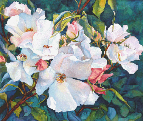 Portland Roses