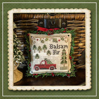 Jack Frosts Tree Farm 4 - Balsam Fir
