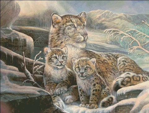 Snow Leopards