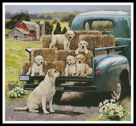 Green Truck Pups
