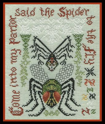 Spider and the Fly 