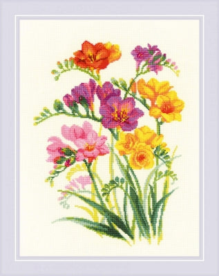 Fragrant Freesia