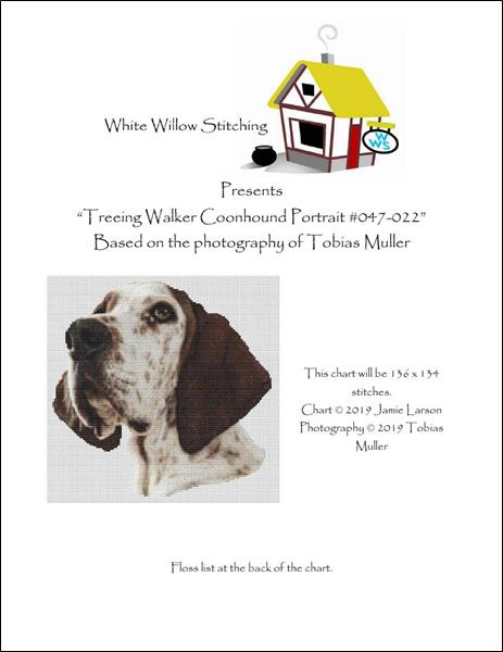 Treeing Walker Coonhound Portrait