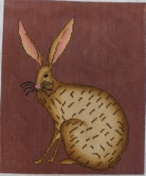 Jack Rabbit