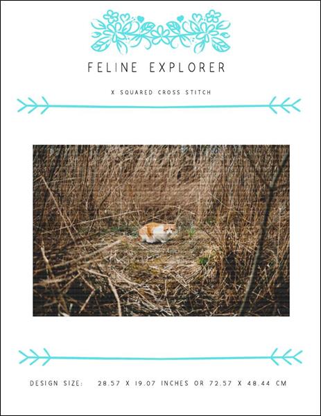 Feline Explorer