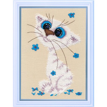 Little Cat 1