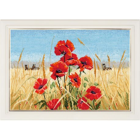 Summer Field Poppies