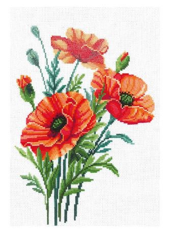 Poppy Flowers