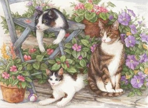 Garden Kitties