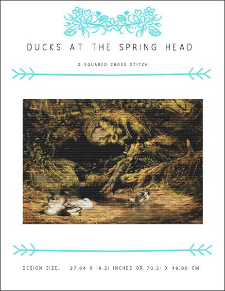 Ducks at the Spring Head