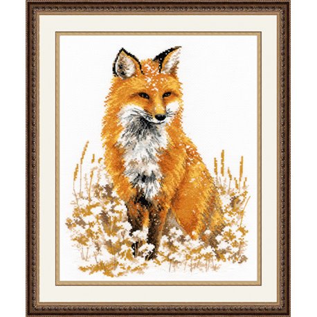 Little Fox