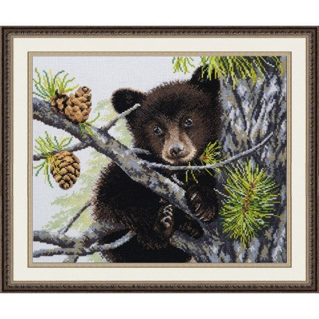 Little Bear